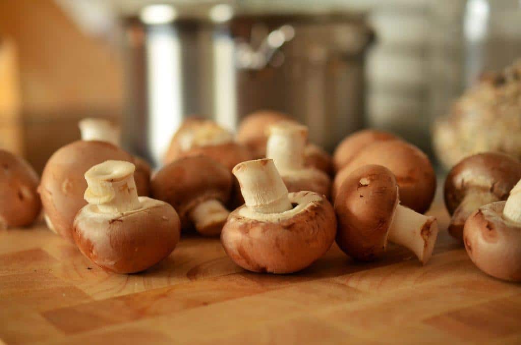 Get Your Psilocybin Mushrooms Grow Kit Online